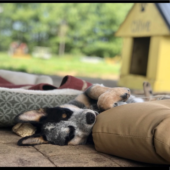 Welcome, come say hello!💕✨ - Picture 5 of 11